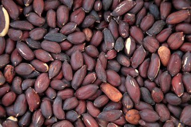 Yerfıstığı çekirdekleri, fotoğrafa yakın çekim