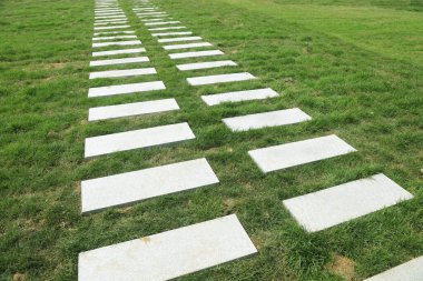 Kanun üzerinde kayrak yol