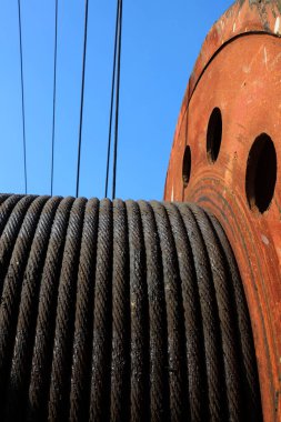 Crane yakın plan fotoğraf.
