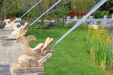 Su kaplıcalarının hayvan modellemesi