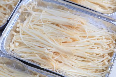 Lokantada flammulina velütipleri