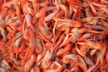 Pişmiş Pençe Karidesleri 'nin yakın görüntüsü