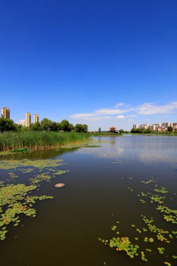 Waterfront City 'nin yaz manzarası, Tangshan City, Çin