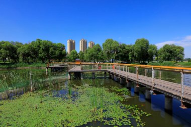 Park köprüsü ve göl suyu