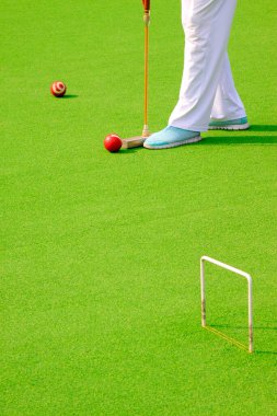 Çin top topu kolu ve atlet bacakları, fotoğrafa yakın çekim