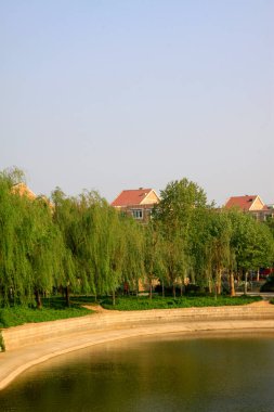 Nehir kıyısı ve yeşillik bir şehirde, fotoğrafa yakın.