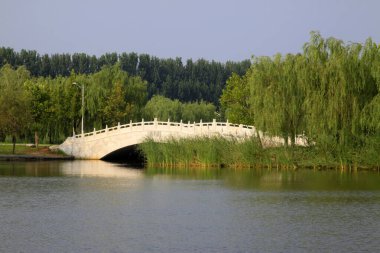 Orman parkı manzarası, fotoğrafa yakın çekim.
