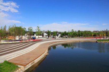 Şehir parkı manzarası, fotoğrafa yakın çekim