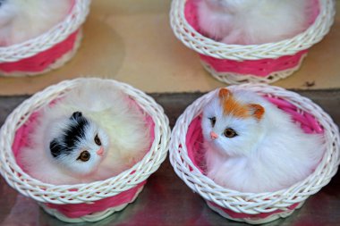 Çiçekli kedi sanatları, fotoğrafın yakın çekimi.