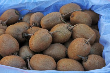 Piles of Kiwifruit, closeup of photo