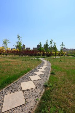 Parklardaki Taş Yollar ve Yeşillik Fabrikaları