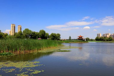 Waterfront City 'nin yaz manzarası, Tangshan City, Çin