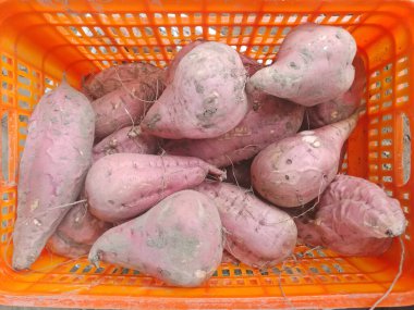 Sweet potatoes in plastic frames