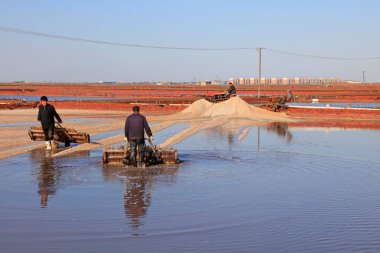 Luannan County - 28 Ekim 2016: işçiler tuz tarlasında işçilik yaptılar, Luannan, Hebei, Chin