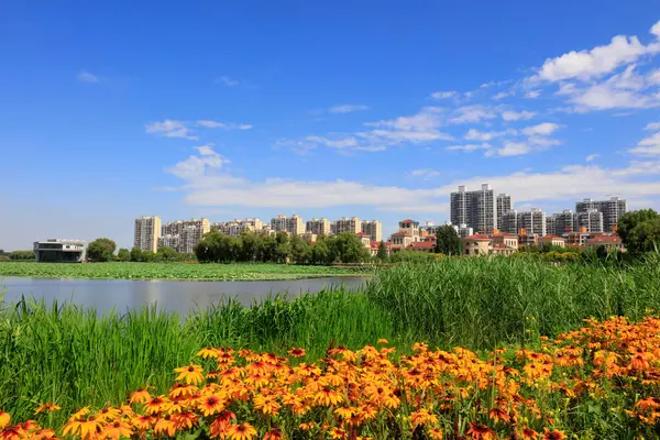 Şehir Parklarının Doğal Manzarası