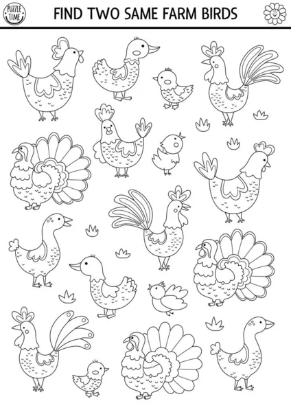 找两只相同的农场鸟在农场里为孩子们做黑白搭配活动 乡村色彩网页为孩子们提供关注技巧 与母鸡 鹅一起玩的简单的可打印行游戏 — 图库矢量图片