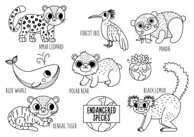 Vector black and white endangered species set. Cute line extinct animals collection. Funny illustration for kids with amur leopard, blue whale, black lemur. Nature protection coloring pag
