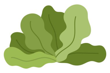 Vektör yeşil yosun ikonu. Deniz resimlerinin altında sevimli yosunlarla. Okyanus bitkisi. Su altı karikatürü ya da beyaz grupta izole edilmiş çocuklar için deniz klip sanatı