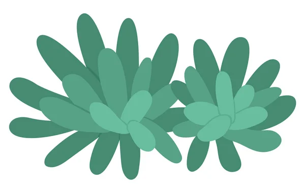 Vector Green Sea Anemone 아이콘입니다 속에는 귀여운 바닷말이 그려져 식물의 — 스톡 벡터