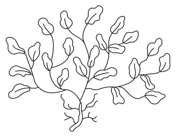 흰색의 바닷말 아이콘입니다 귀여운 Phyllophora 있습니다 식물의 부분입니다 만화나 어린이용 — 스톡 벡터