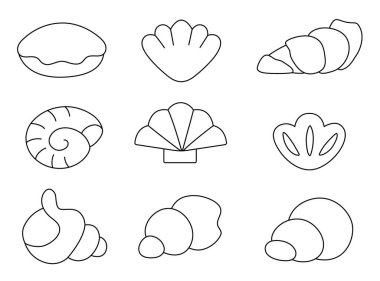 Beyaz arka planda izole edilmiş siyah beyaz deniz kabukları. Hat deniz kabukları kuruldu. Yaz, su altı, okyanus hayatı. Çocuk için su resimleme ya da boyama sayfası
