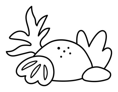 Taşlı, yosunlu, deniz kabuklu, deniz bitkilerinden, kumdan oluşan siyah ve beyaz vektör bileşimi. Deniz kızı konsepti. Okyanus ya da deniz yaşamı doğa dekorasyonu, boyama pag