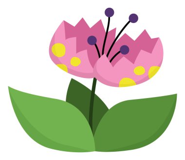 Şirin fantezi çiçek ikonu. Orman, ormanlık ya da tropikal bitki zirvesi beyaz arka planda izole edilmiştir. Botanik çiçek tasarım elementi. Çocuk için basit bir yeşillik çizimi