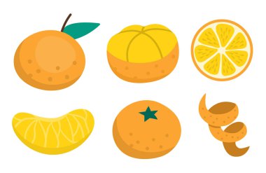 Vektör mandalina ayarlandı. El yapımı yassı narenciye meyvesi koleksiyonu. Portakal kabuğunun karikatür çizimi, dilim dilim ve ikiye bölünmüş. Beyaz arka planda izole edilmiş taze yiyecekler
