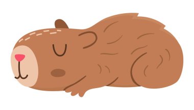 Vektör kapibarası. Tatlı Capibara oturuyor ya da gözleri kapalı yatıyor. Beyaz arka planda izole edilmiş komik mutlu hayvan illüstrasyonu. Komik trend kobay tırmanışı