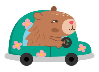 Vektör kapibarası. Pembe çiçekli yeşil bir araba süren şirin bir kapibara. Beyaz arka planda izole edilmiş komik mutlu hayvan illüstrasyonu. Komik trend kobay tırmanışı