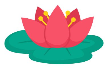 Nilüfer çiçeği ikonu. Yeşil yastıklı bataklık çiçeği. Beyaz arka planda izole edilmiş şirin çiçek çizimi