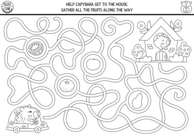 Capybara kullanan çocuklar için eğlenceli siyah beyaz labirent. Capibara okul öncesi basılabilir aktivitesi şirin bir hayvanla. Labirent oyunu, boyama sayfası veya karpuz, mandalina ile bulmaca