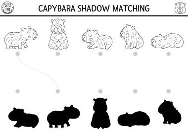 Capibara siyah ve beyaz gölgeleri eşleşiyor. Capybara şekil tanıma bulmacası, boyama sayfası. Doğru siluet yazdırılabilir çalışma tablosu ya da oyun bul. Tatlı hayvanlı çocuklar için sayfayı eşleştir