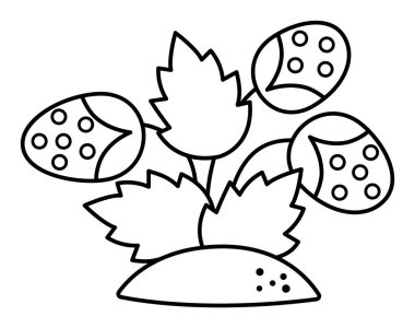 Vector siyah beyaz karikatür çilek clipart. Ormanlık ya da bahçe bitkisi ikonu beyaz arka planda izole edilmiş. Orman doğası çilek illüstrasyonu, boyama sayfası. Kulübe çekirdeği hasat ediyor