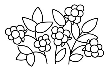 Siyah beyaz çizgi film ahududu kırpıntısı. Ormanlık ya da bahçe bitkisi ikonu beyaz arka planda izole edilmiş. Orman doğası çilek illüstrasyonu, boyama sayfası. Kulübe çekirdeği hasat ediyor