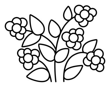 Siyah beyaz çizgi film Blackberry Clipart 'ı. Ormanlık ya da bahçe bitkisi ikonu beyaz arka planda izole edilmiş. Orman doğası çilek illüstrasyonu, boyama sayfası. Kulübe çekirdeği hasat ediyor