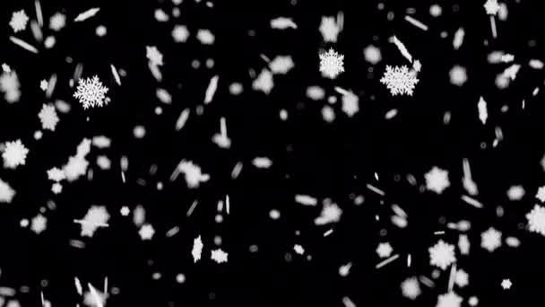 Weiße Schneeflocken Fallen Langsam Mit Sanftem Fokus Herunter Hintergrund Neujahr — Stockvideo