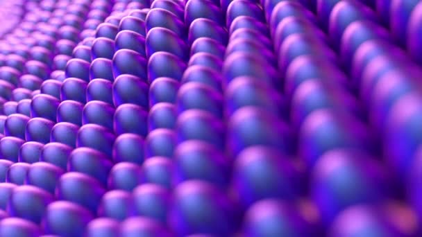 Colorful Neon Easter Eggs Grid Wave Animation Loopable Render — Stock Video