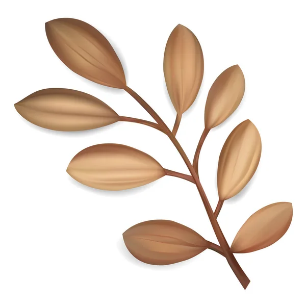 Vector Tropical Leaf Exóticos Aislados Ilustración Botánica — Vector de stock