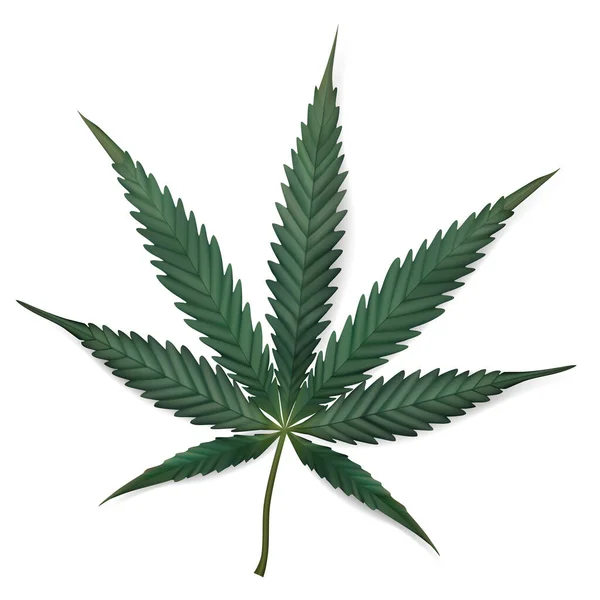 Símbolo Folha Mariuhana Ícone Maconha Cânhamo Sinal Médico Cannabis Ilustração — Vetor de Stock