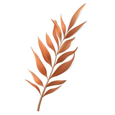 Vektör Tropikal Yaprak. İzole Egzotikler. Botanik illüstrasyon.