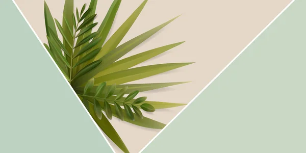 Feuilles Tropicales Vectorielles Composition Florale Isolées Sur Fond Blanc — Image vectorielle
