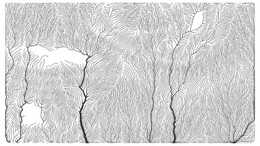Büyüme düzeni. Üretici dallanma yapısı. Organik damar dokusu ağı