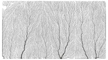 Büyüme düzeni. Üretici dallanma yapısı. Organik damar dokusu ağı