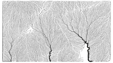 Büyüme düzeni. Üretici dallanma yapısı. Organik damar dokusu ağı