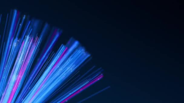 Osvětlené Optické Kabely Pohyblivými Daty Zářící Internetové Datové Proudy Digitální — Stock video