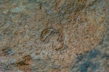 Benidoeig, Valencia 'daki Cueva de las Calaveras kafatası mağaralarının duvarlarını kapatın..
