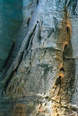 Geological structures and formations of limestone in cave of skulls, Cueva de las Calaveras in Benidoleig, Valencia clipart