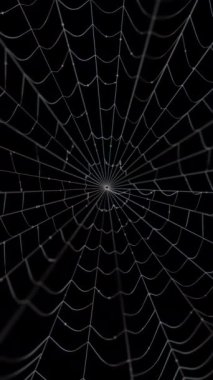 Küçük su damlaları olan örümcek ağı rüzgarla sallanıyor. Cadılar Bayramı geçmişi. 3D canlandırma canlandırması. Dikey video.