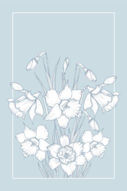Üzerinde nergis çiçekleri olan Vektör Davetiye kartı. Çiçekli Narcissus..